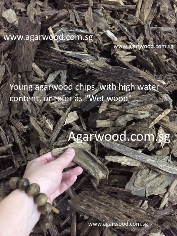 fresh and new agarwood