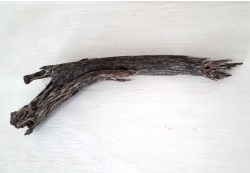 agarwood-gun.html