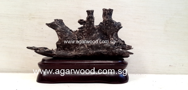 Sinking Agarwood