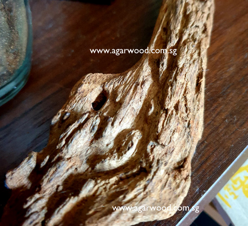 agarwood soil agarwood